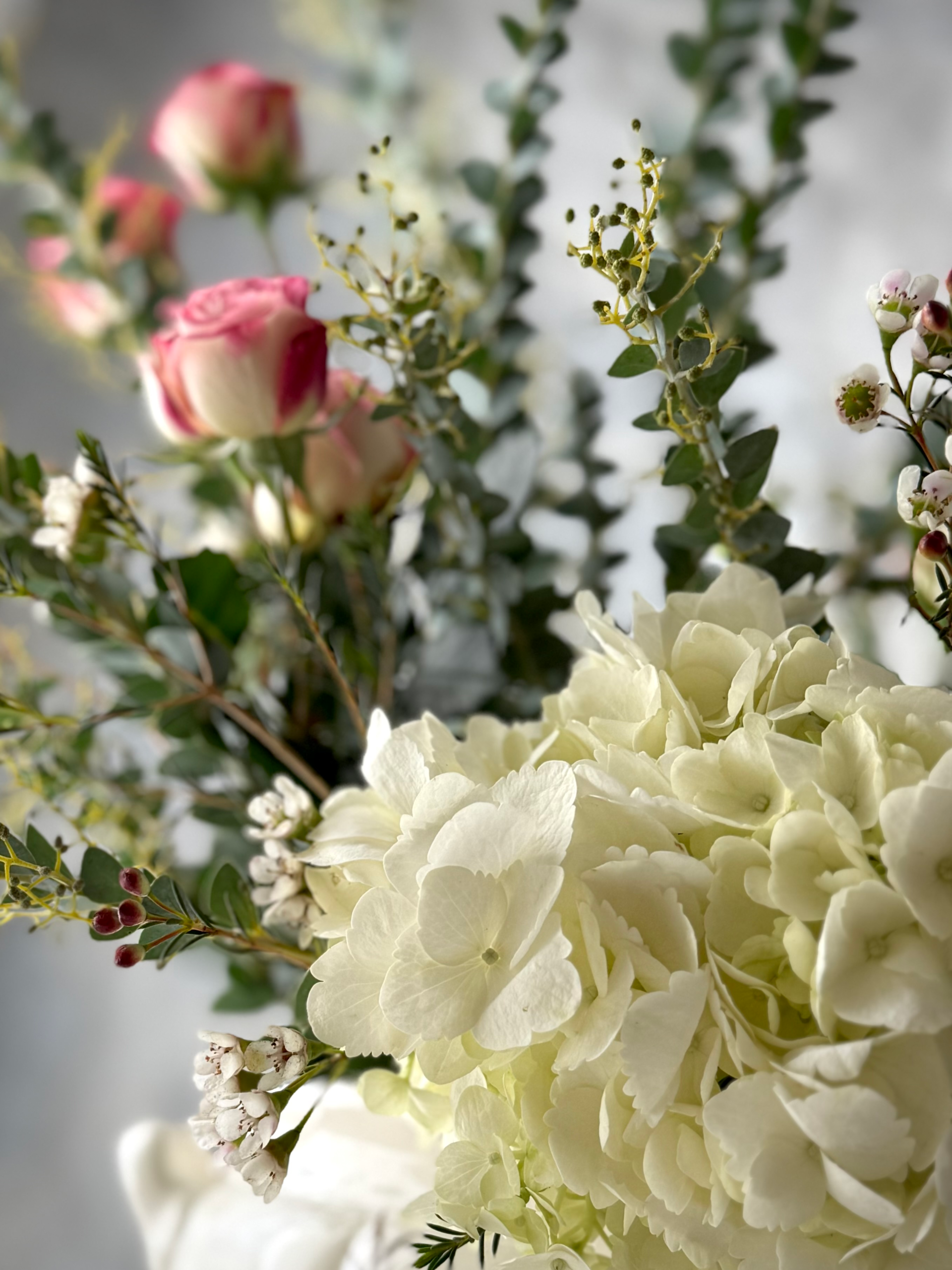 Hi! Welcome to The Blog